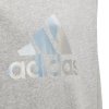 Bluza adidas G M Hoodie girls H57219 szary 152 cm